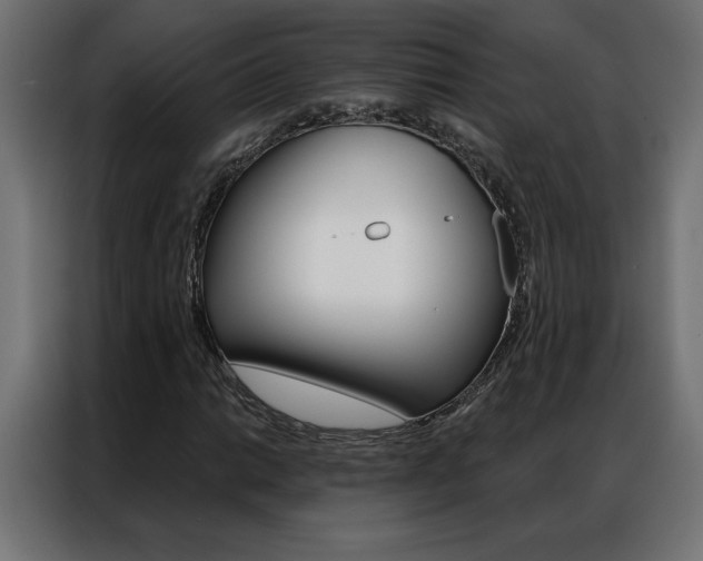 X0000086951014200704161052