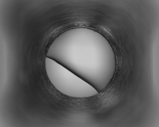 X0000086951015200704161052