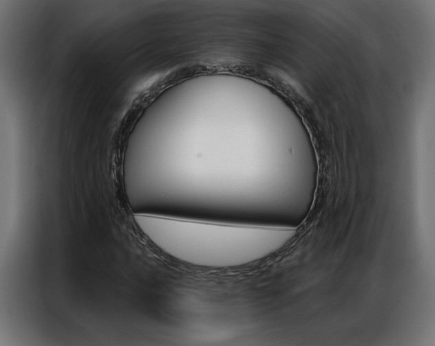 X0000086951016200704161052