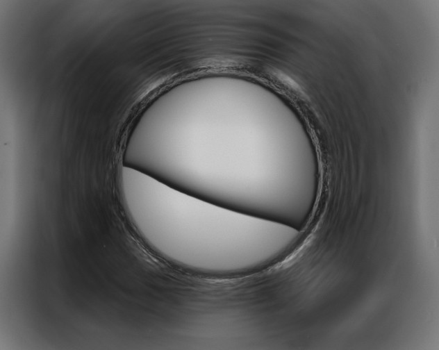 X0000086951017200704161052