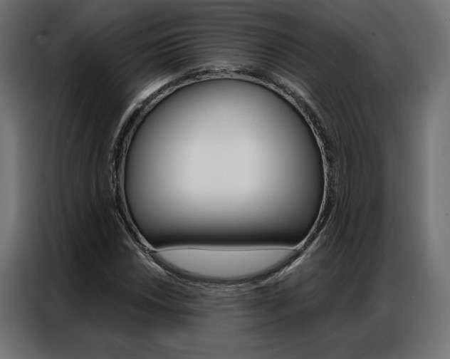 X0000086951018200704161052