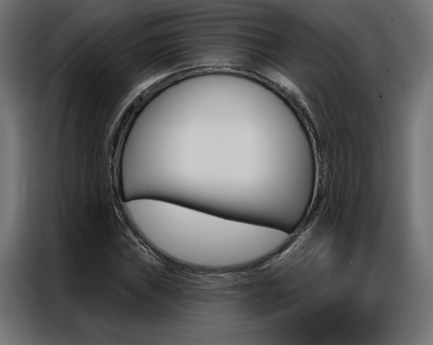 X0000086951019200704161052