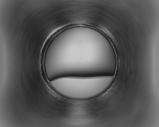 X0000086951020200704161052