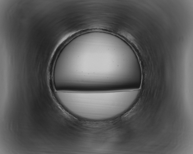 X0000086951024200704161052