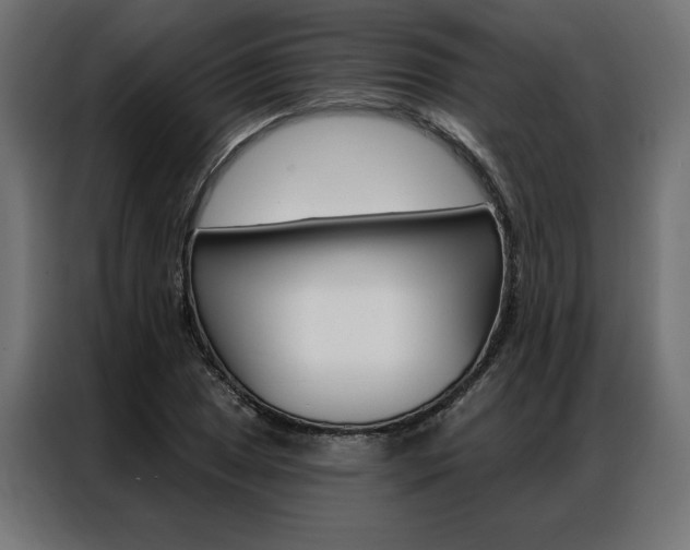 X0000086951025200704161052