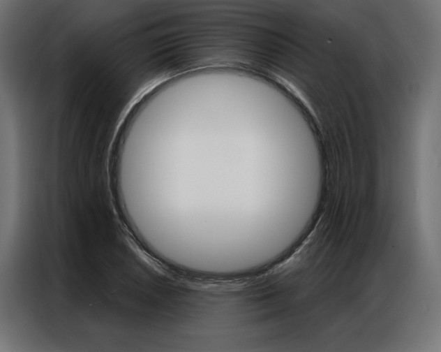 X0000086951026200704161052