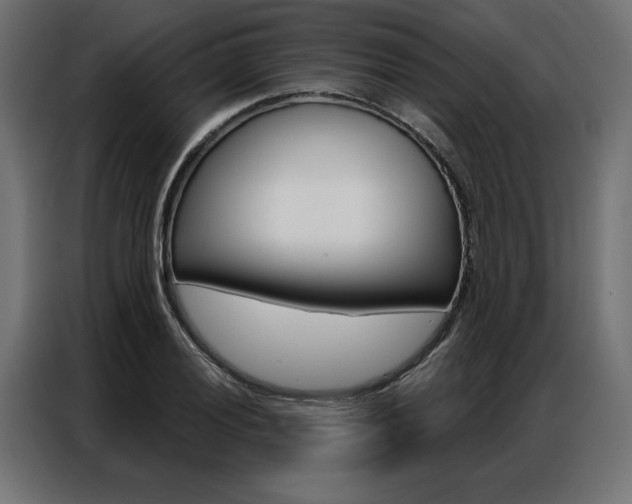 X0000086951028200704161052