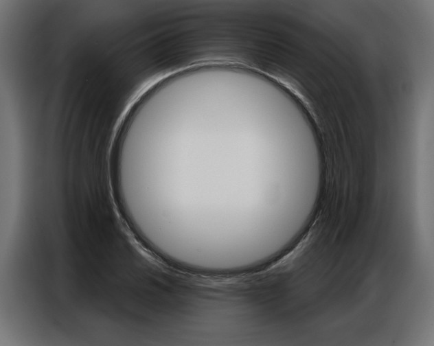 X0000086951030200704161052