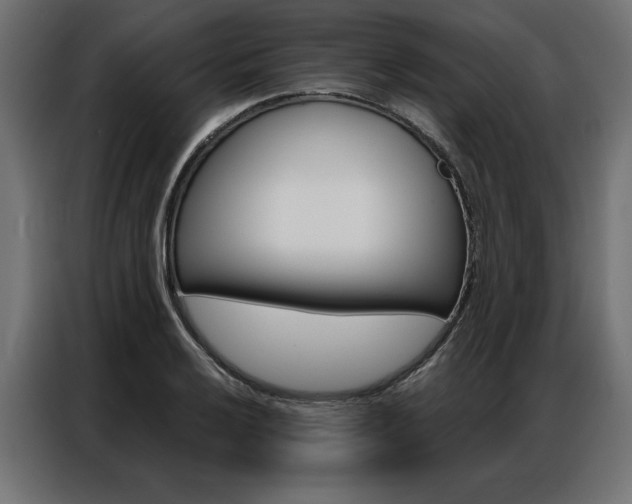 X0000086951032200704161053