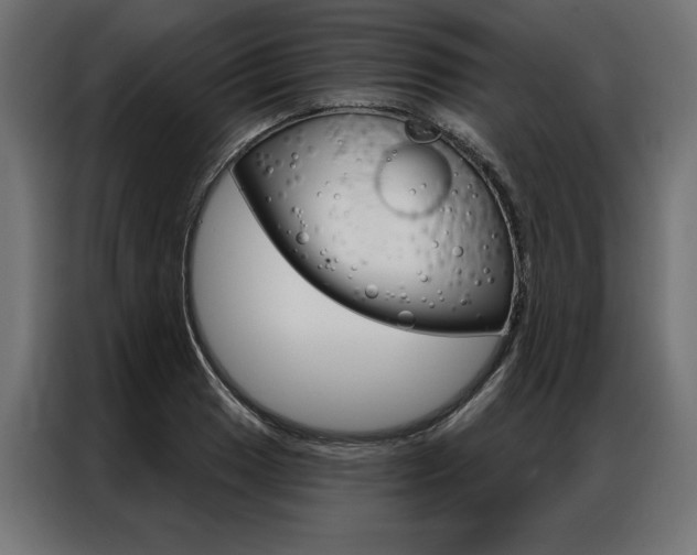 X0000086951033200704161053