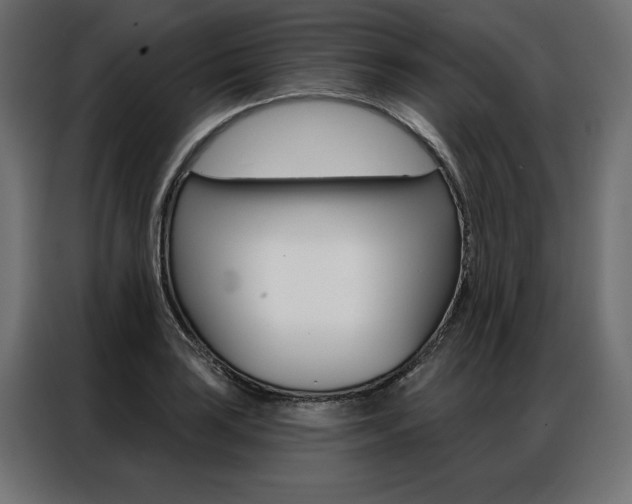 X0000086951035200704161053