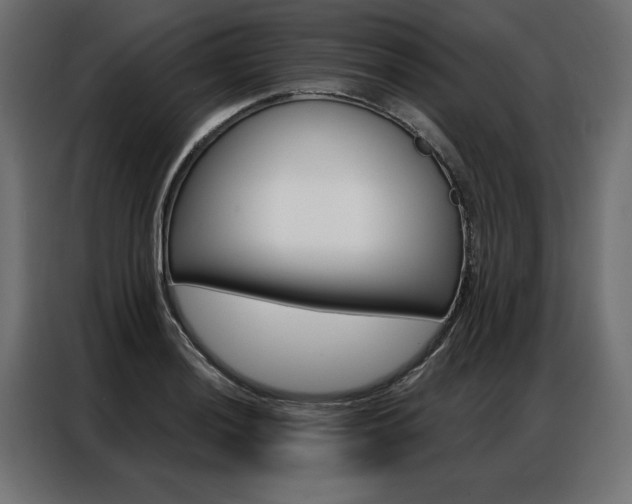 X0000086951036200704161053