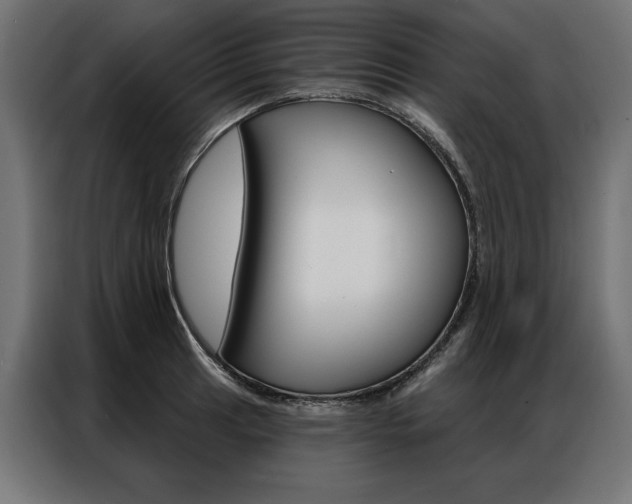X0000086951041200704161053