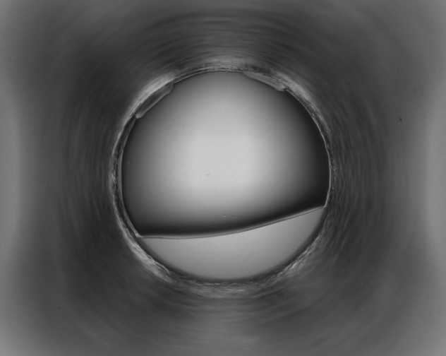 X0000086951042200704161053