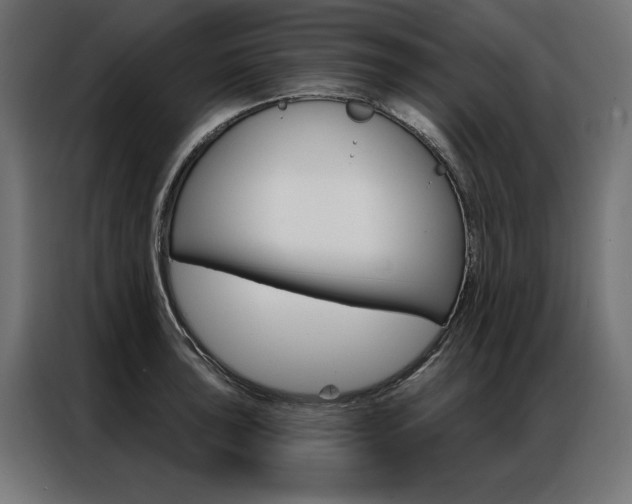 X0000086951043200704161053