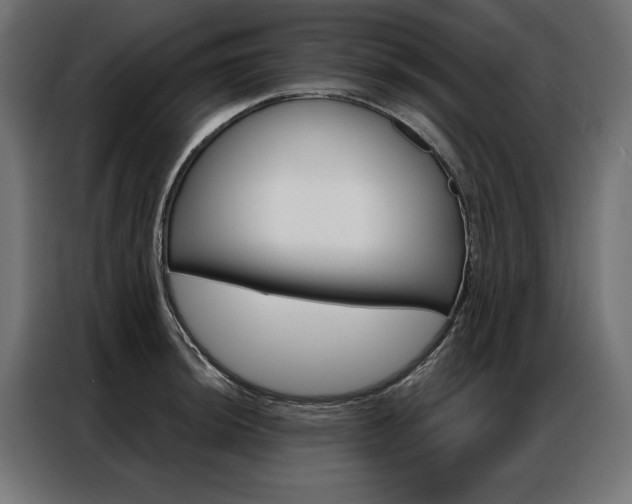 X0000086951044200704161053
