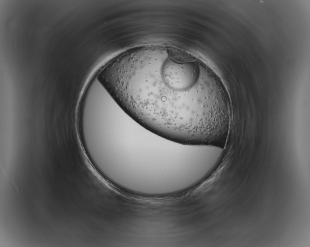 X0000086951045200704161053