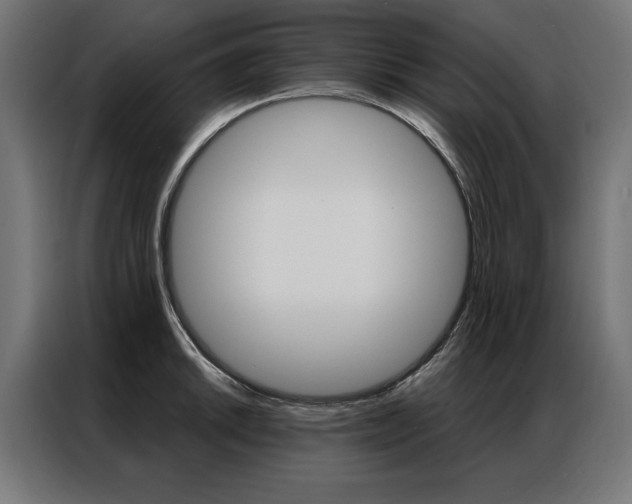 X0000086951046200704161053