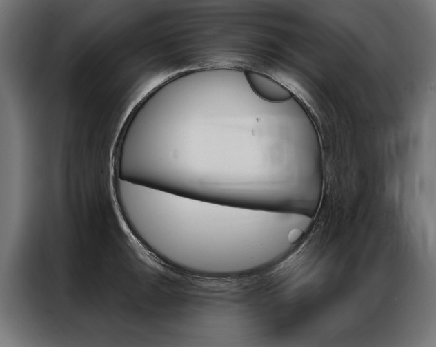 X0000086951047200704161053