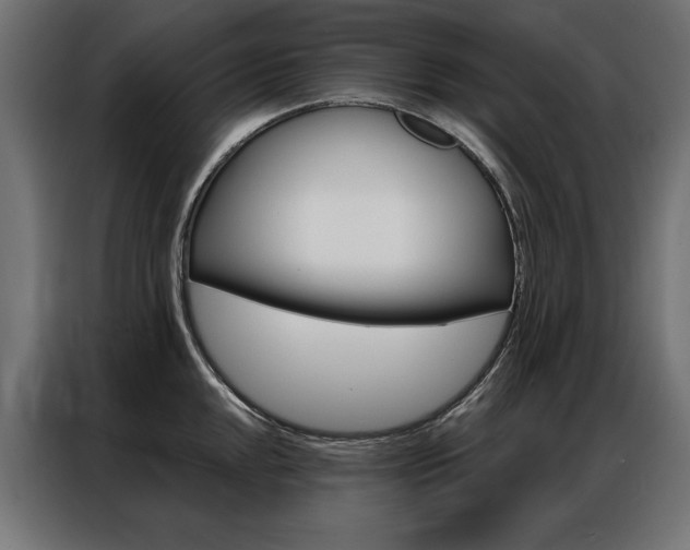 X0000086951048200704161053