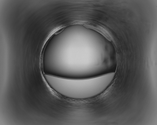 X0000086951050200704161053