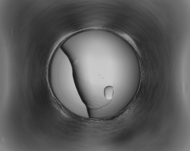 X0000086951051200704161053