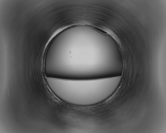 X0000086951052200704161053