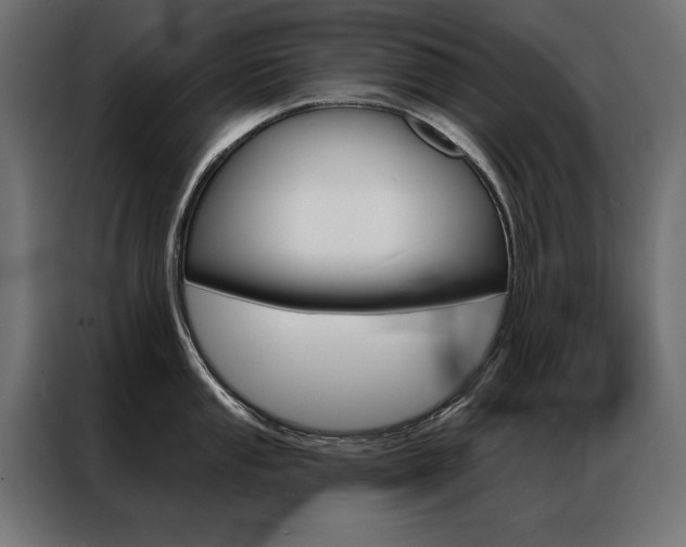 X0000086951053200704161053