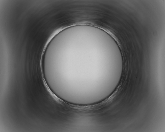X0000086951054200704161053
