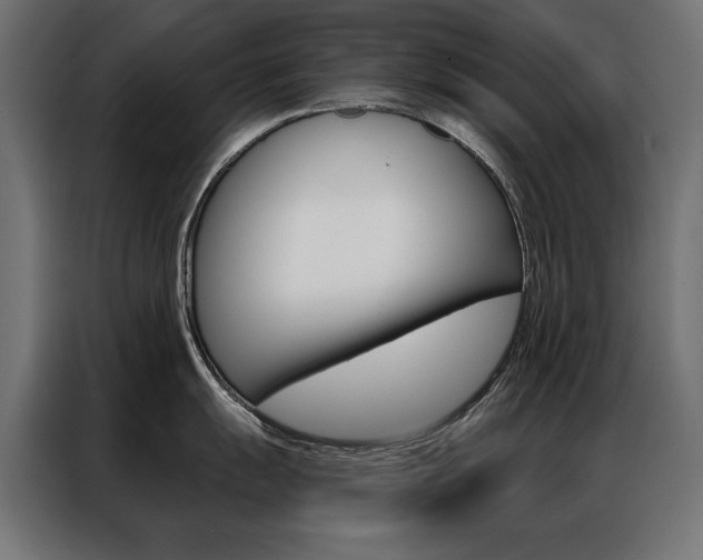 X0000086951055200704161053