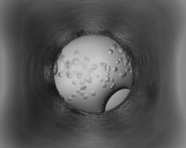 X0000086951059200704161052
