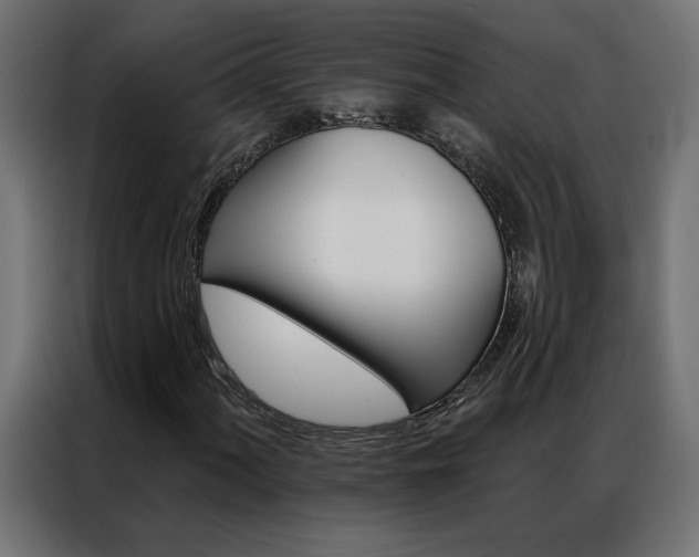X0000086951060200704161052
