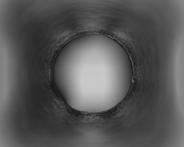 X0000086951061200704161052