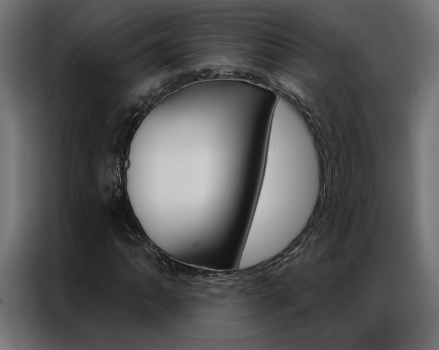 X0000086951062200704161052