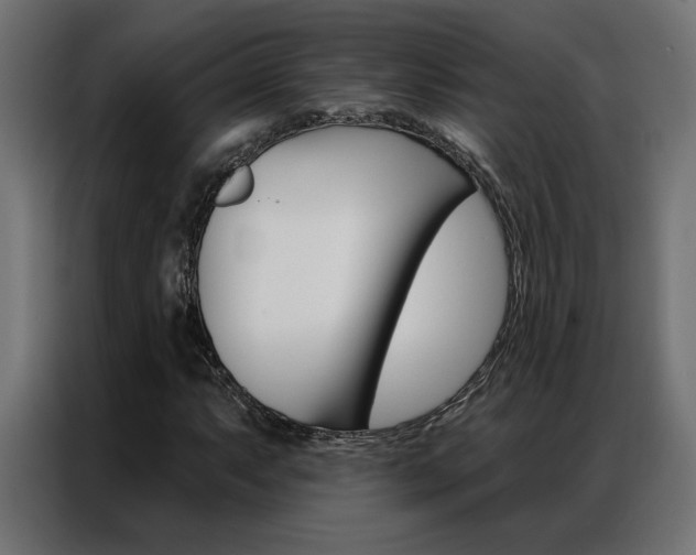 X0000086951063200704161052