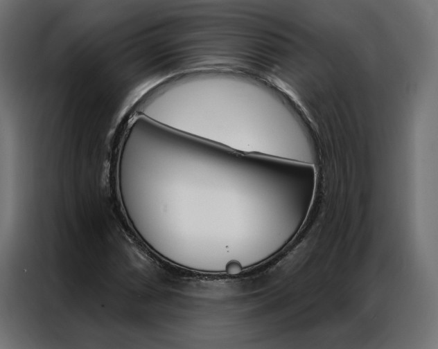 X0000086951066200704161052