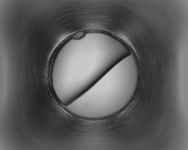 X0000086951068200704161052