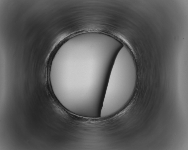 X0000086951075200704161052