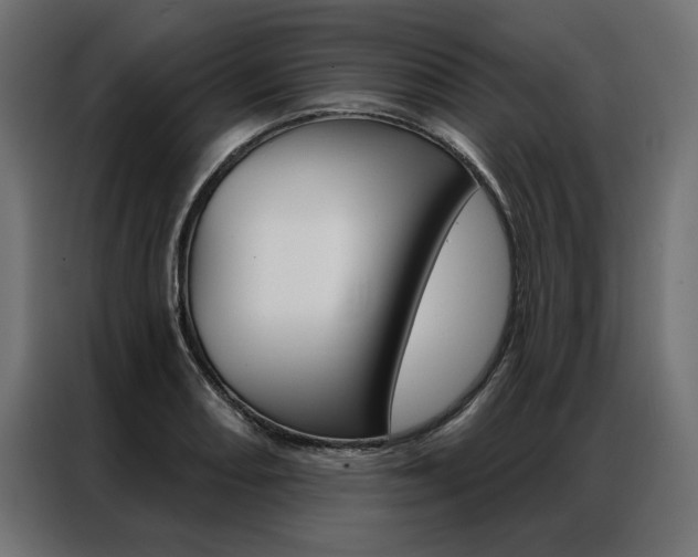X0000086951082200704161052