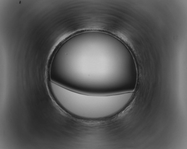 X0000086951085200704161052
