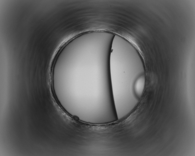 X0000086951088200704161052
