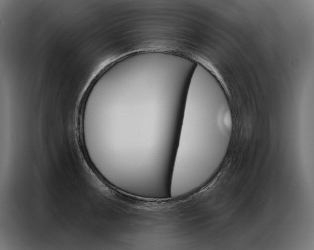 X0000086951091200704161052
