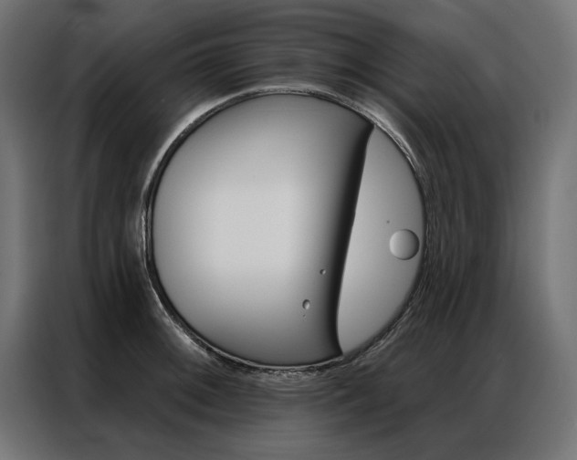 X0000086951092200704161052