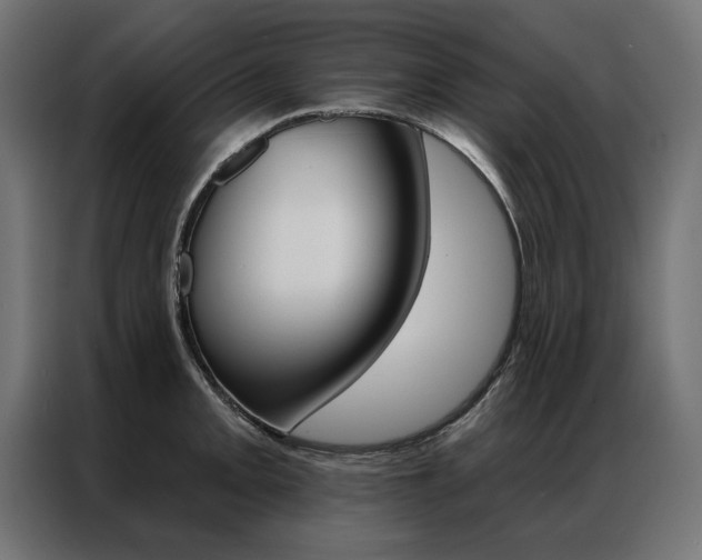 X0000086951093200704161052