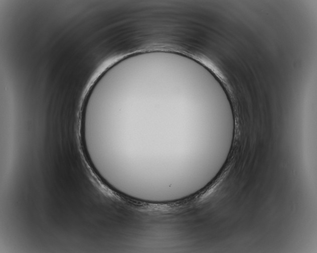 X0000086951094200704161052
