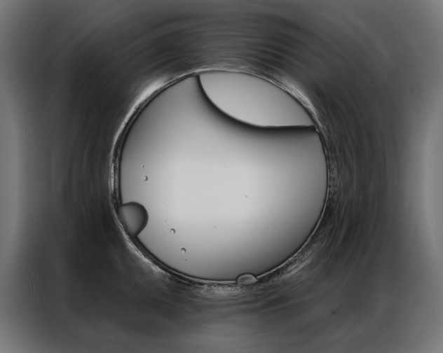 X0000086951095200704161052