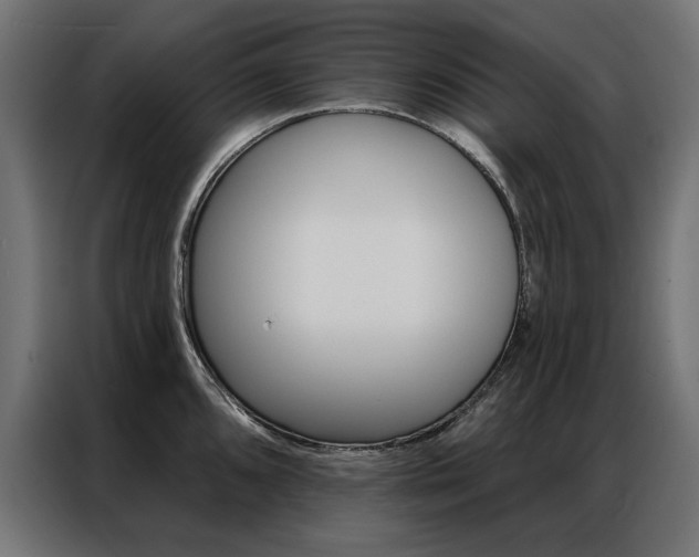 X0000086951096200704161052