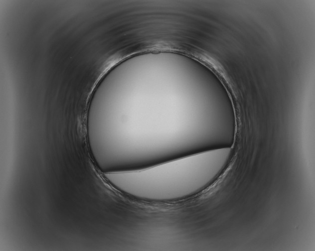 X0000086951097200704161052