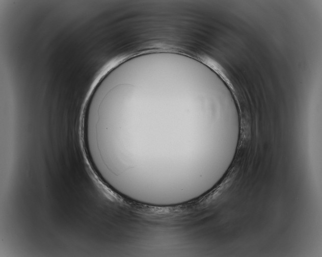X0000086951098200704161052