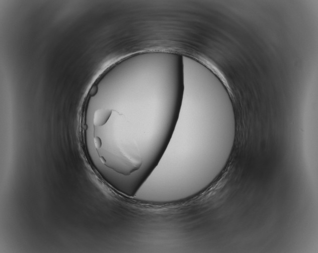 X0000086951099200704161051